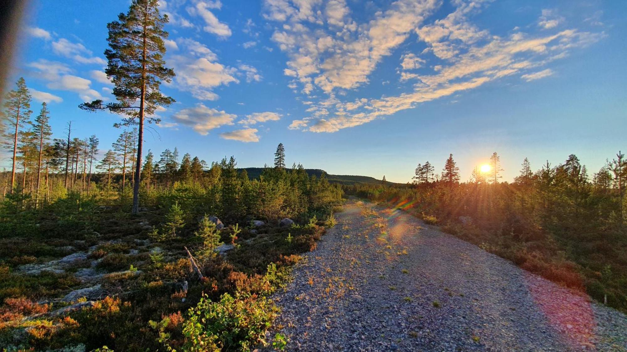 Stationshuset Dalarna Apartments Sorsjon Экстерьер фото